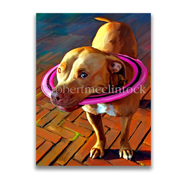 "FLEET'S FRISBEE" - PIT BULL