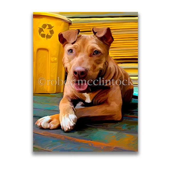 "SWEET JASMINE" - PIT BULL