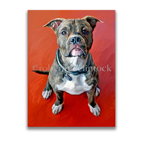 "AT YOUR SERVICE" - PIT BULL