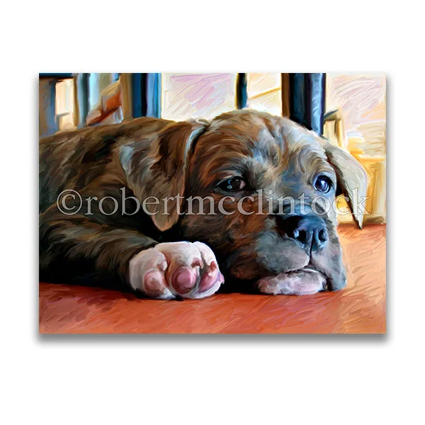 "DOG KNUCKLES" - PIT BULL