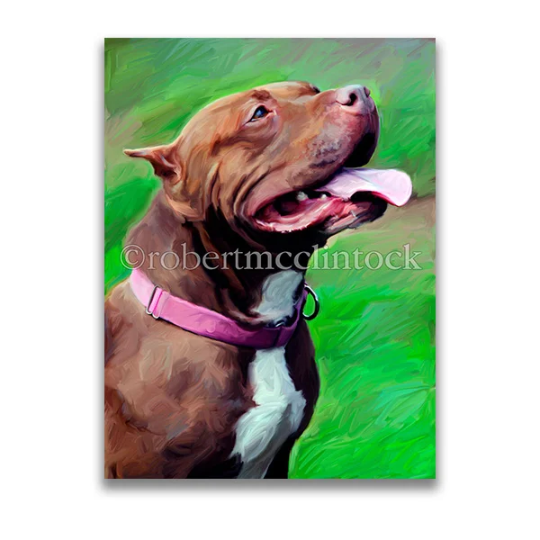"LADY" - PIT BULL