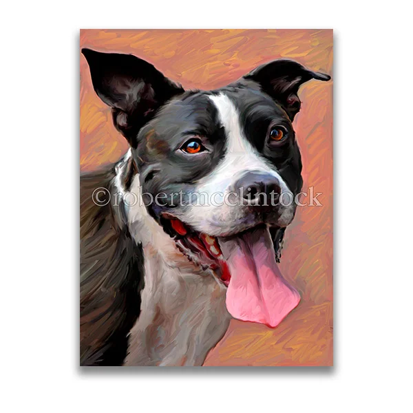 "MEDINA" - PIT BULL