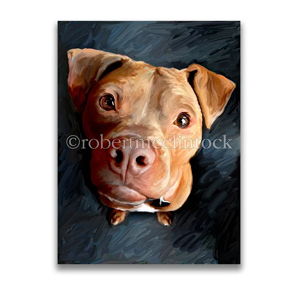 "STARE DOWN" - PIT BULL