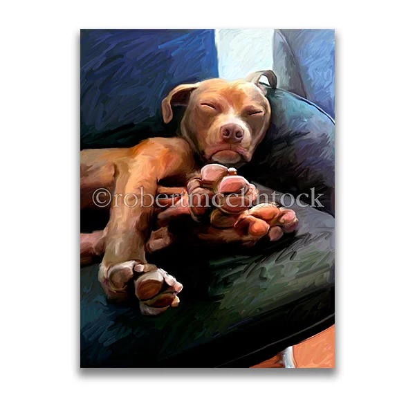 "SUPER TOES" - PIT BULL