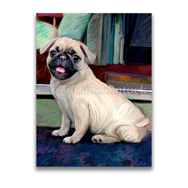 "BABY PUG" - PUG
