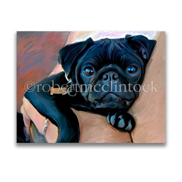 "MAMA'S BOY" - PUG