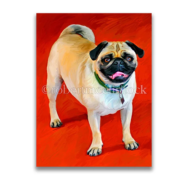 "THE ORIGINAL DOUG" - PUG