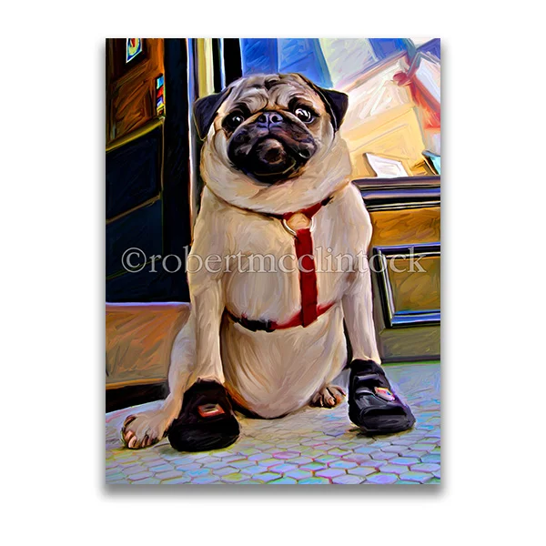 "THE CONTENDER" - PUG