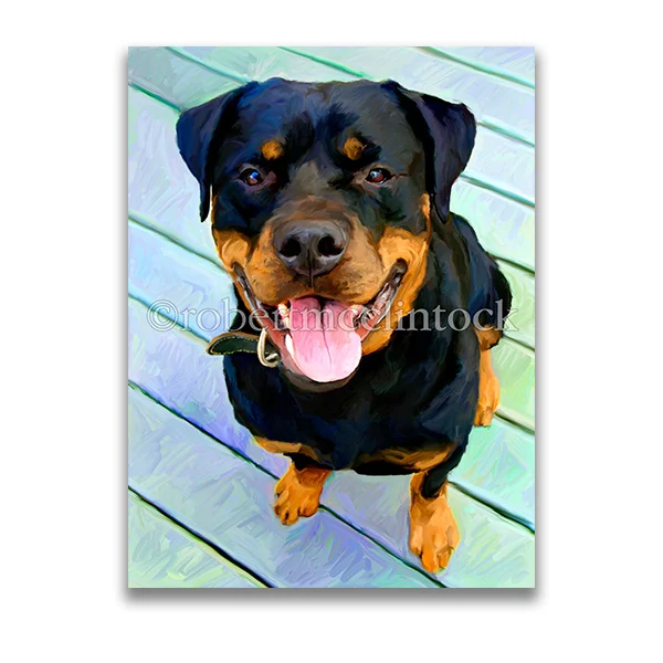 "GOODMAN" - ROTTWEILER