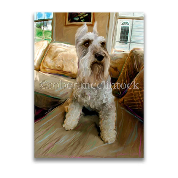 "STOIC SCHNAUZER" - SCHNAUZER