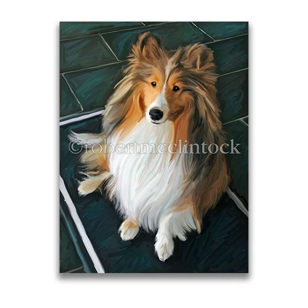 "BRED TO BARK" - SHELTIE