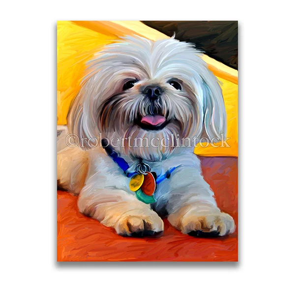 "NEW SHIZOO" - SHIH TZU