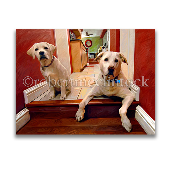 "YOUNG & OLD" - YELLOW LAB