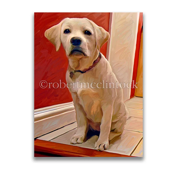 "SIT &  STAY" - YELLOW LAB