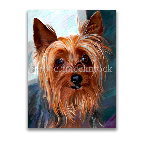 "YORKIE STYLE" - YORKIE