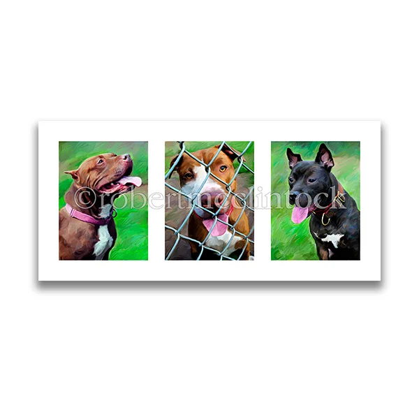 "THE PIT BULL #3" - TRIPTYCH