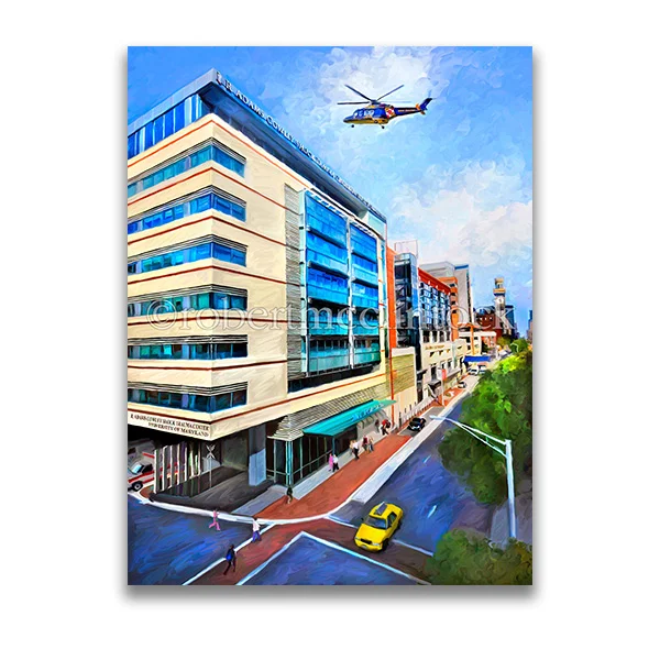Clear to Land - Shock Trauma