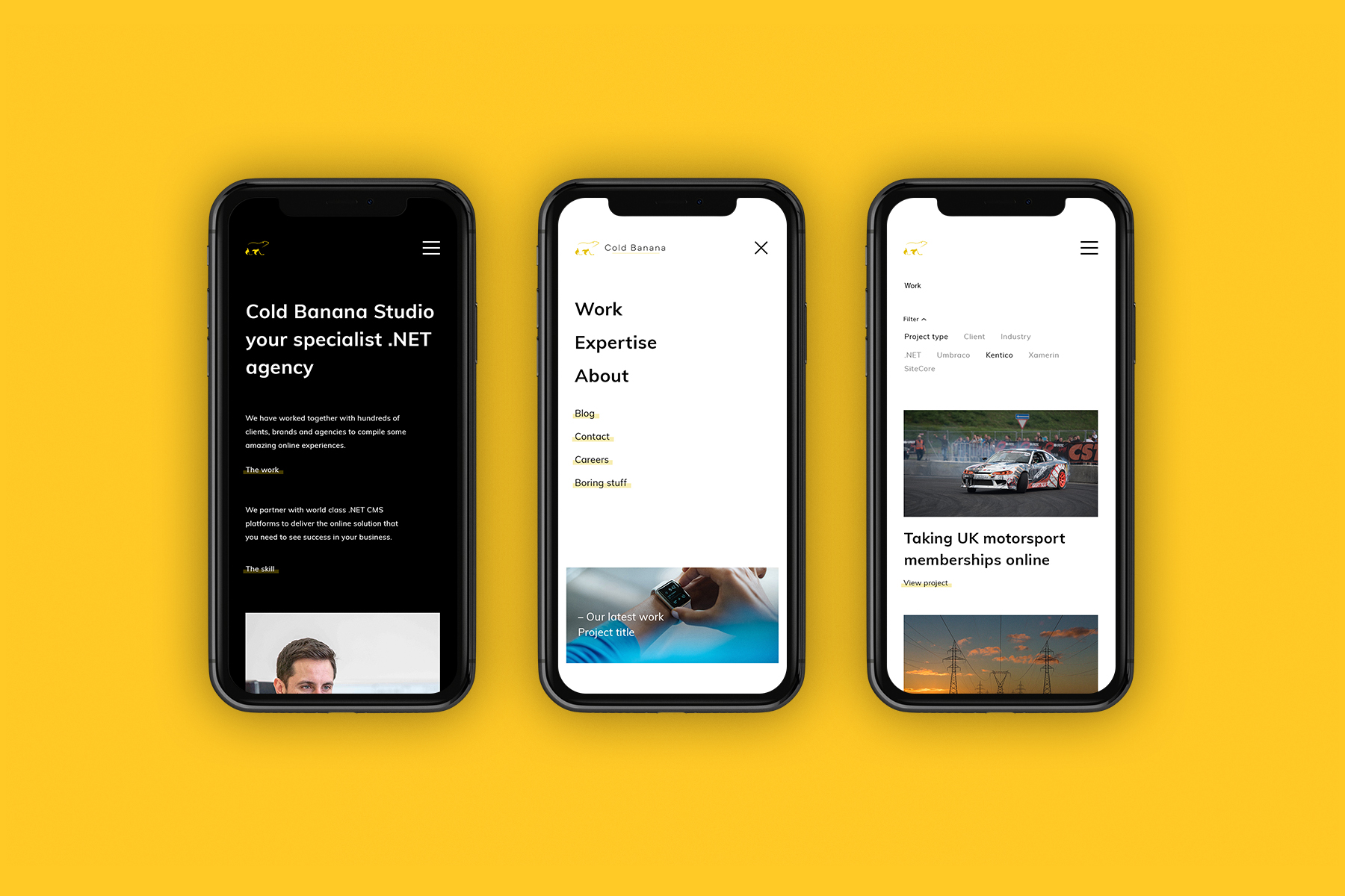 02-Lobo-Creative-Cold-Banana-web-design-in-Bournemouth.jpg