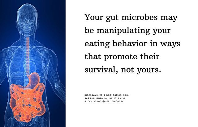 * G U T  M I C R O B E S * . .
🌱 We all have gut microbes; question is, do you have a healthy balance of them? Fact is we all have some bad [opportunistic] bacteria in our digestive tract; the goal is to have more beneficial / commensual bacteria th