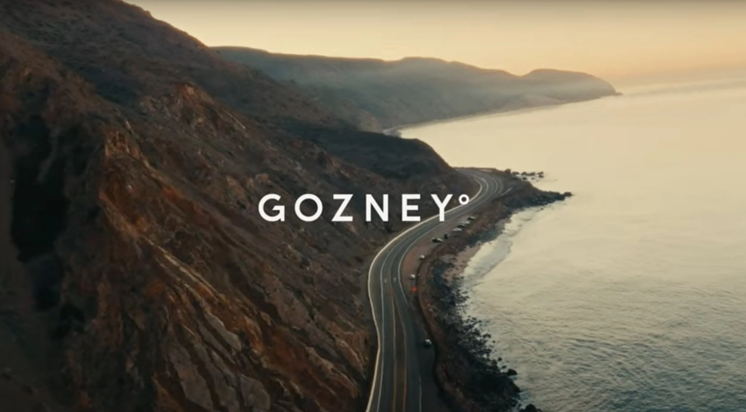 GOZNEY  Better With Friends