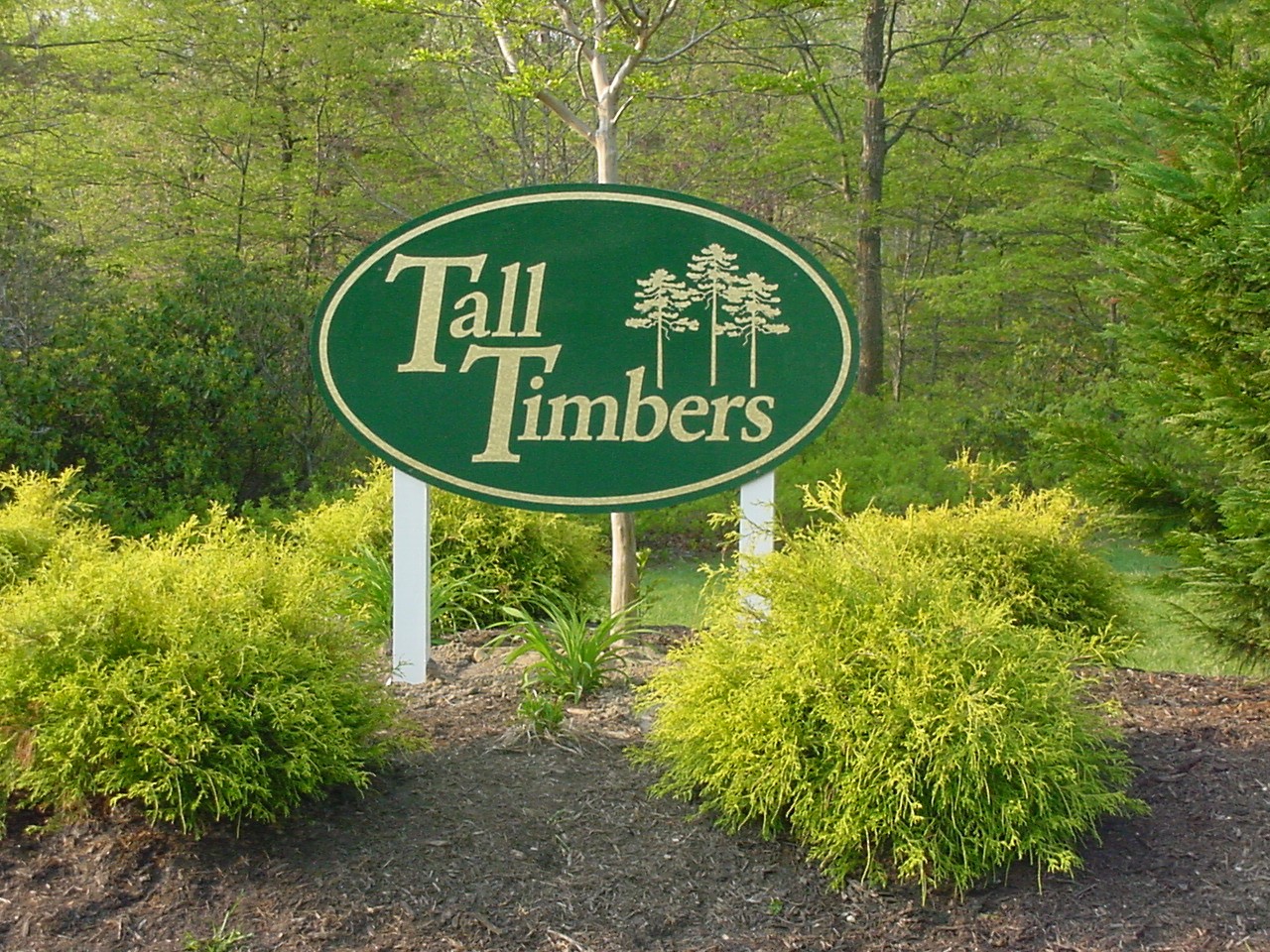 Tall Timbers-panel2 (2).JPG