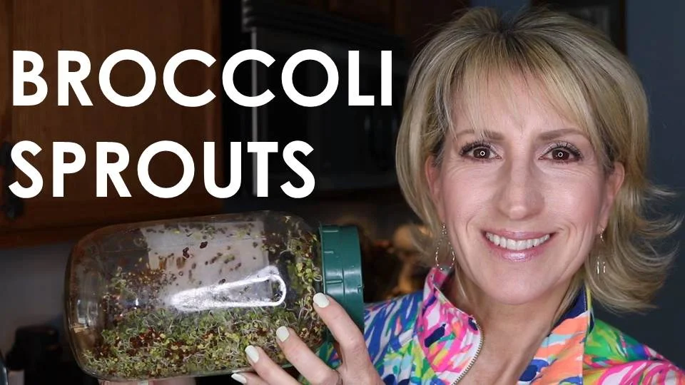 Broccoli Sprouts – Very Nutritious!