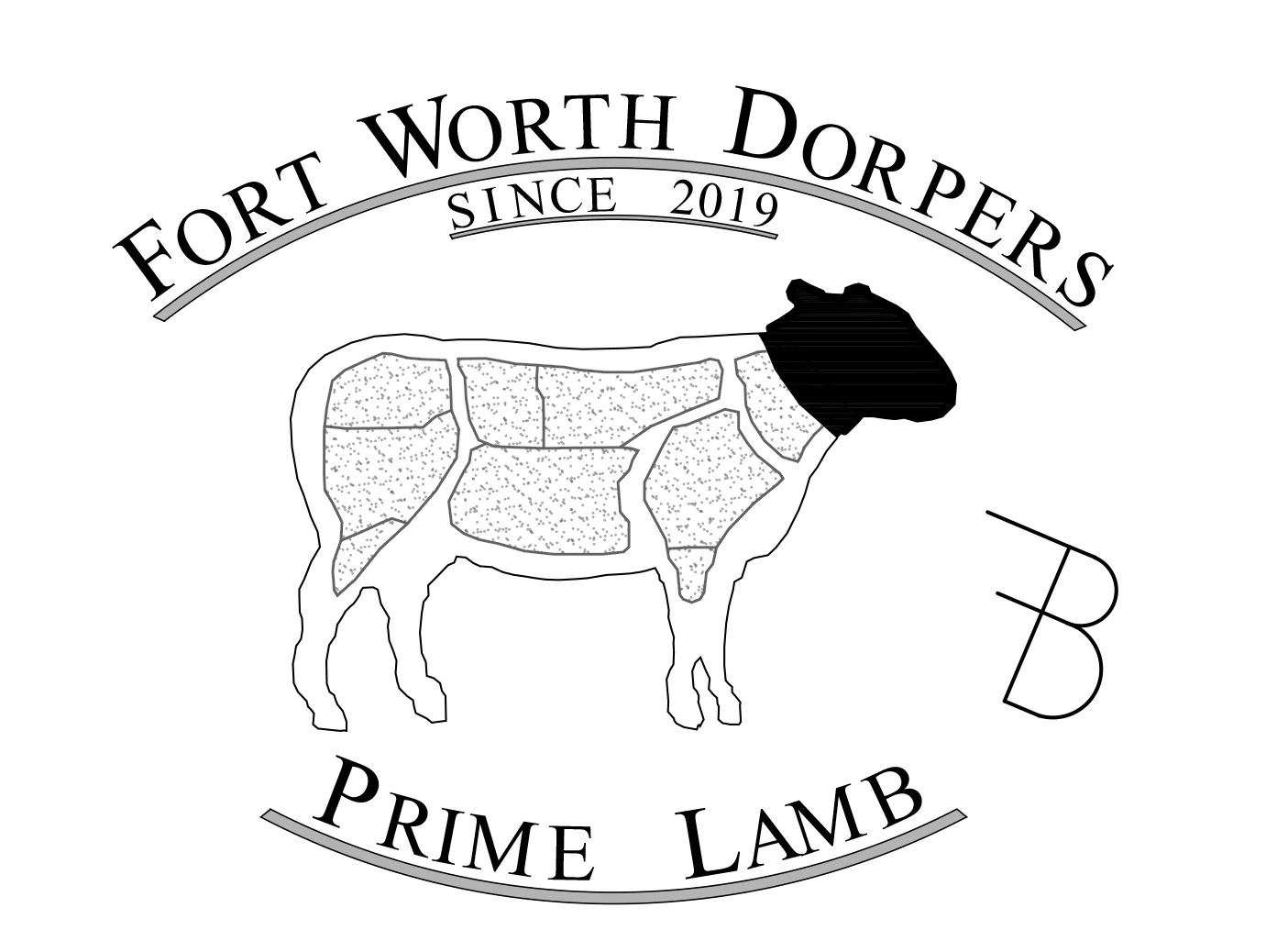 Fort Worth Dorpers