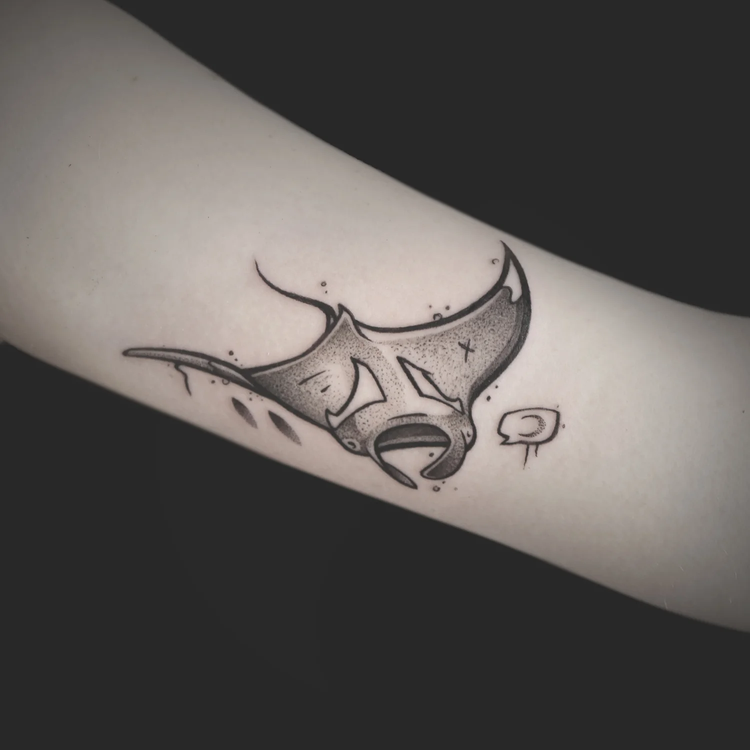 manta.jpg