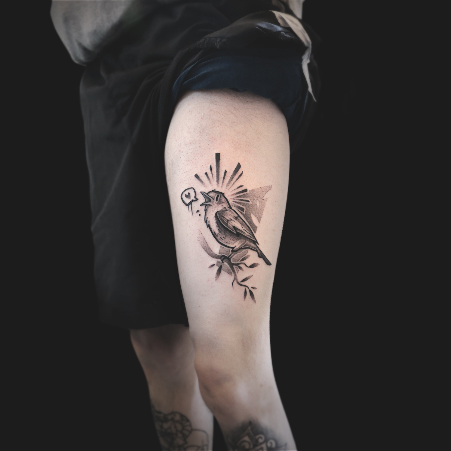 birdy.jpg