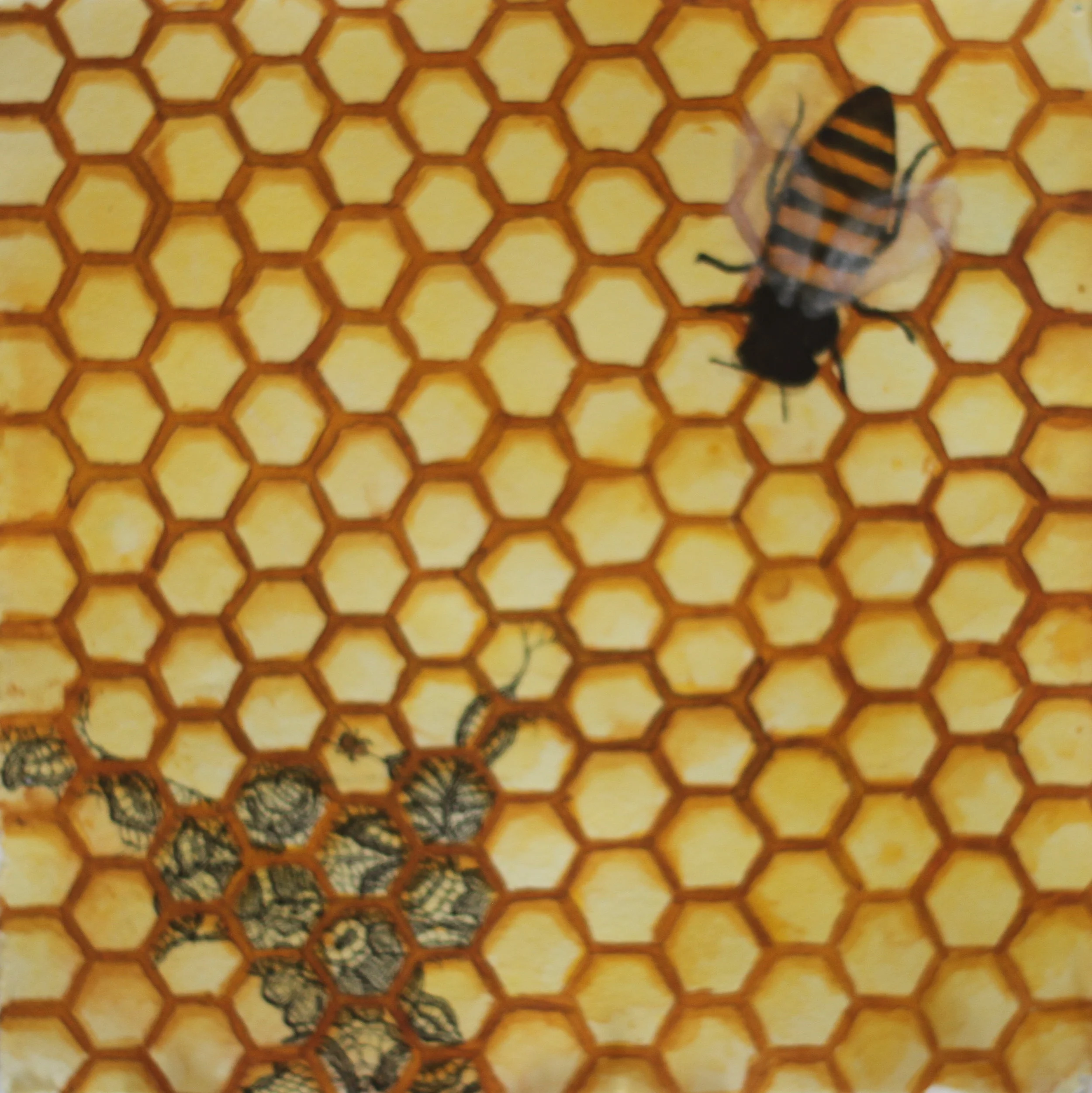 Honeycomb 2