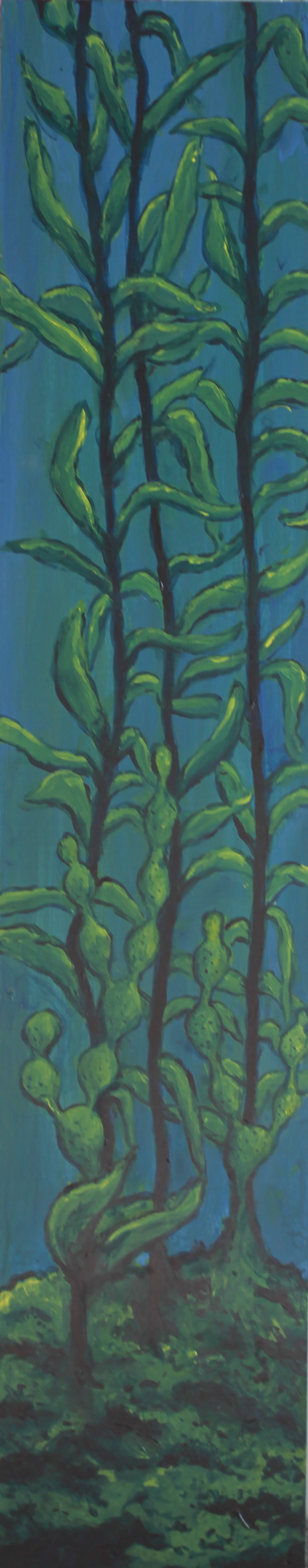Ocean grasses