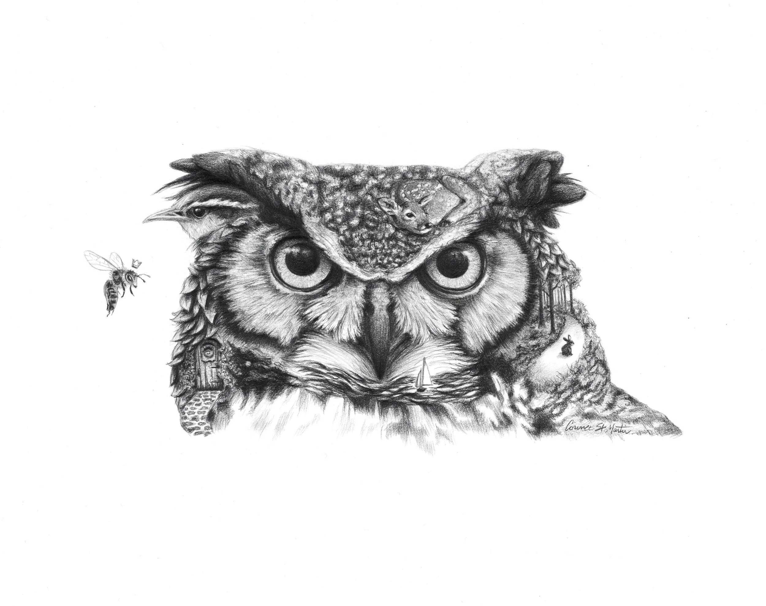 Great Horned Owl 2020 cropped - 300dpi.jpg