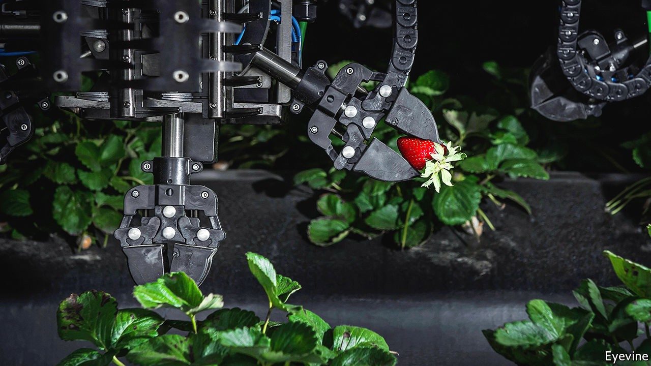 COVID-19 Has Been Great for Robots