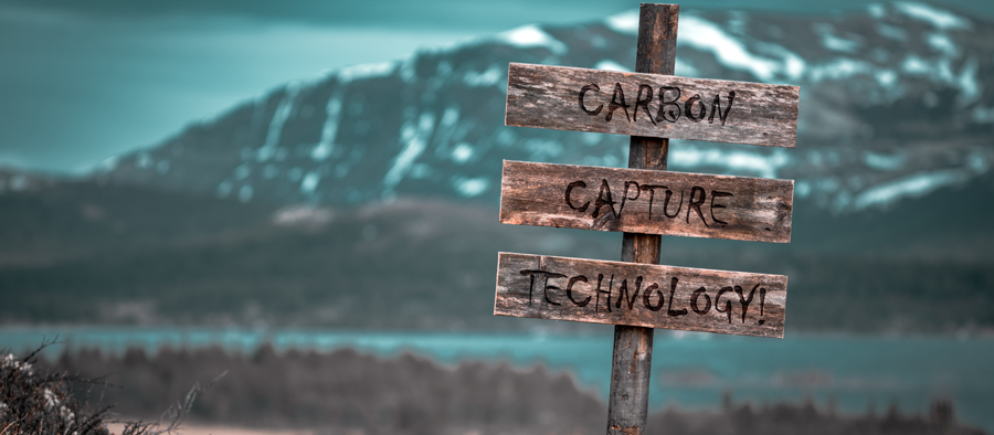 The Future of Carbon Capture and Storage