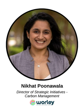 Nikhat Poonawala.png