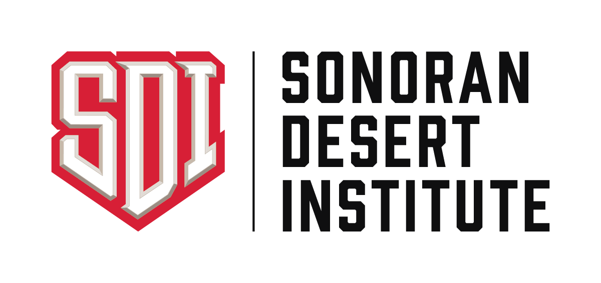 sdi-logo1.jpg