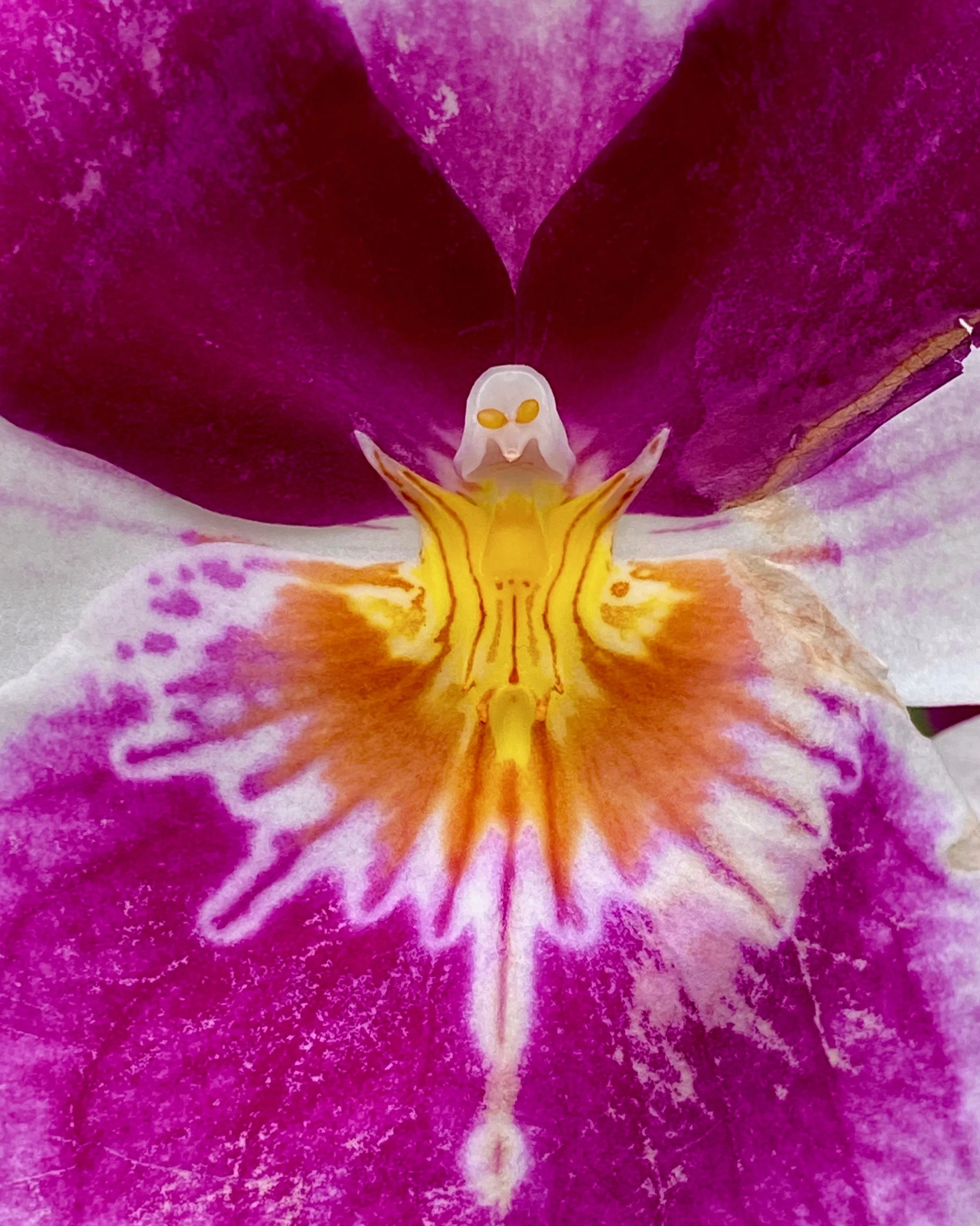 10 ALIEN ACTOR  IMG_3971.jpg