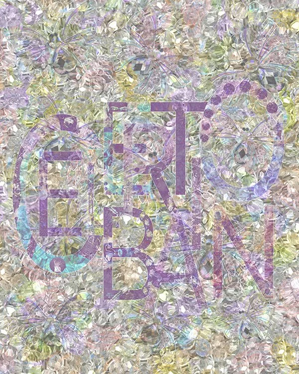 48 - CELEBRATION v4 - Suvir Book.jpg