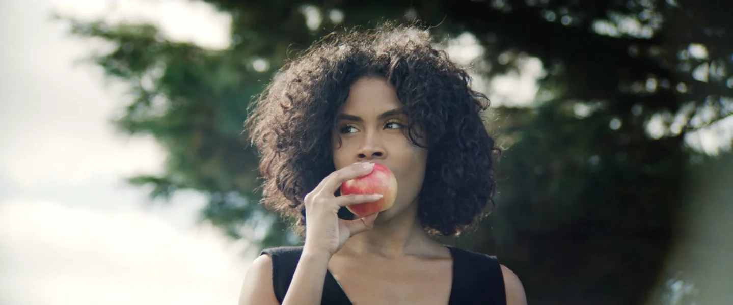 Screen Shot 2019-04-01 at 12.52.19 PM.png