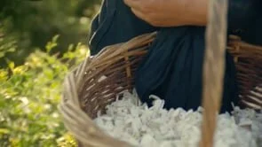 Robertet | Enfleurage | Doc Campaign