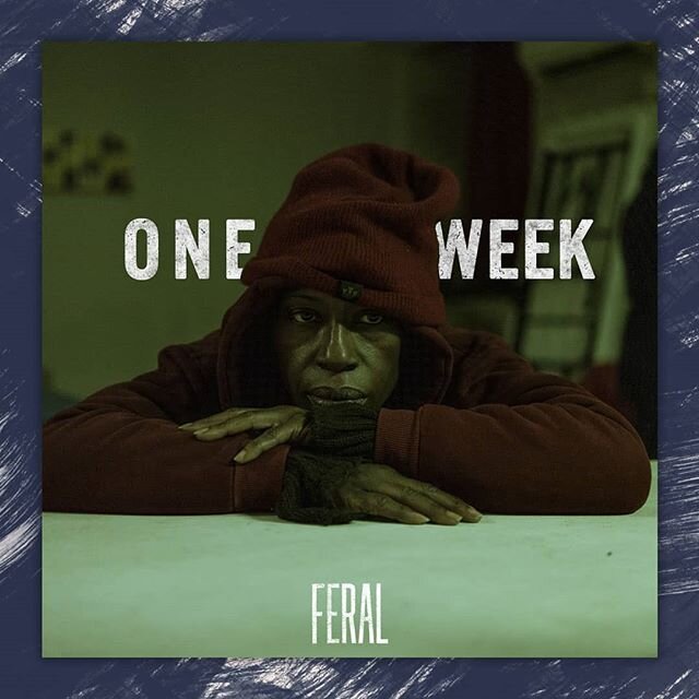 ONE. MORE. WEEK... WE. CAN'T. WAIT. Pre-Order on @AppleTV! Link in bio.
.
.
.
#FERAL #oneweek #nyc #premiere #vod #movie #andrewwonder #directordebut #brooklyn #feralfilm