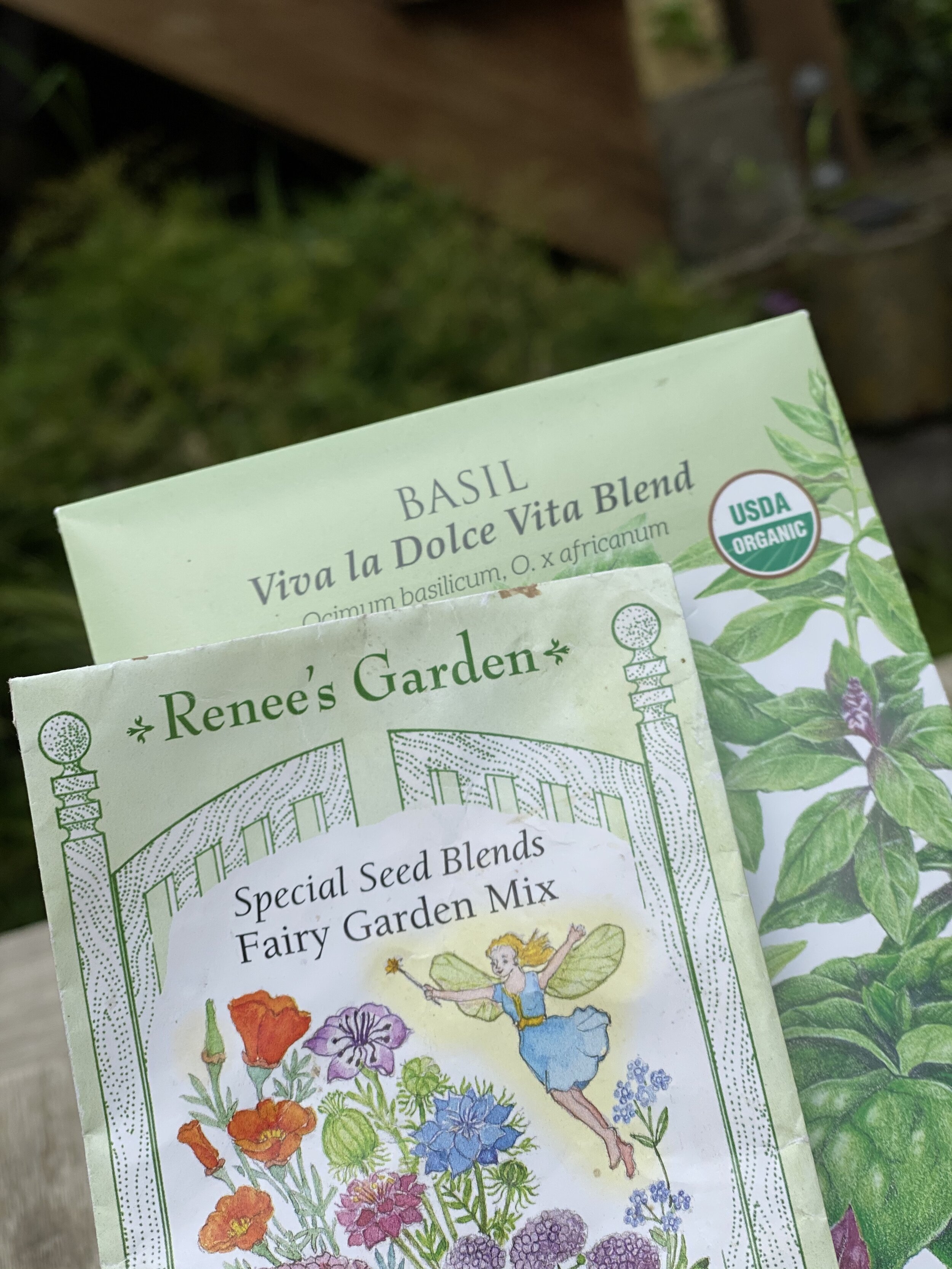Seeds for small flowers or herbs are great options 