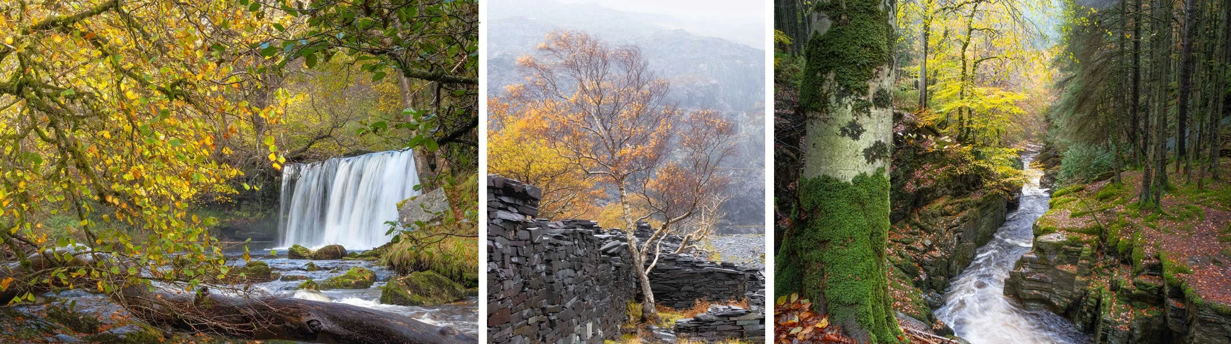 1-2-1 online photography mentoring