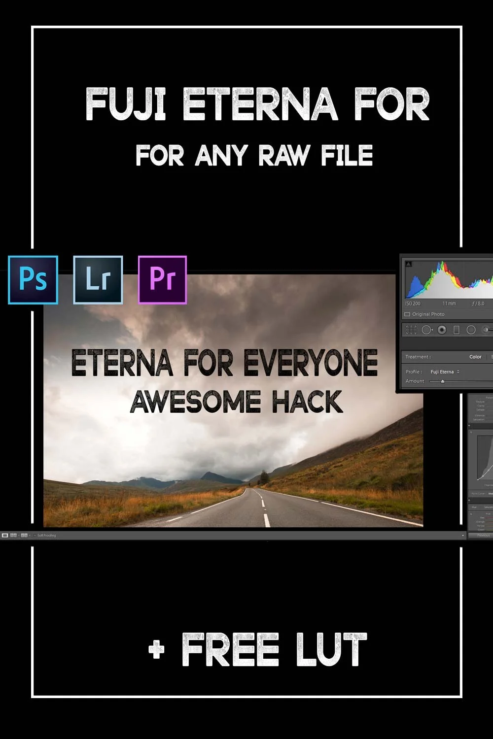get Fujifilm Eterna film simulation 