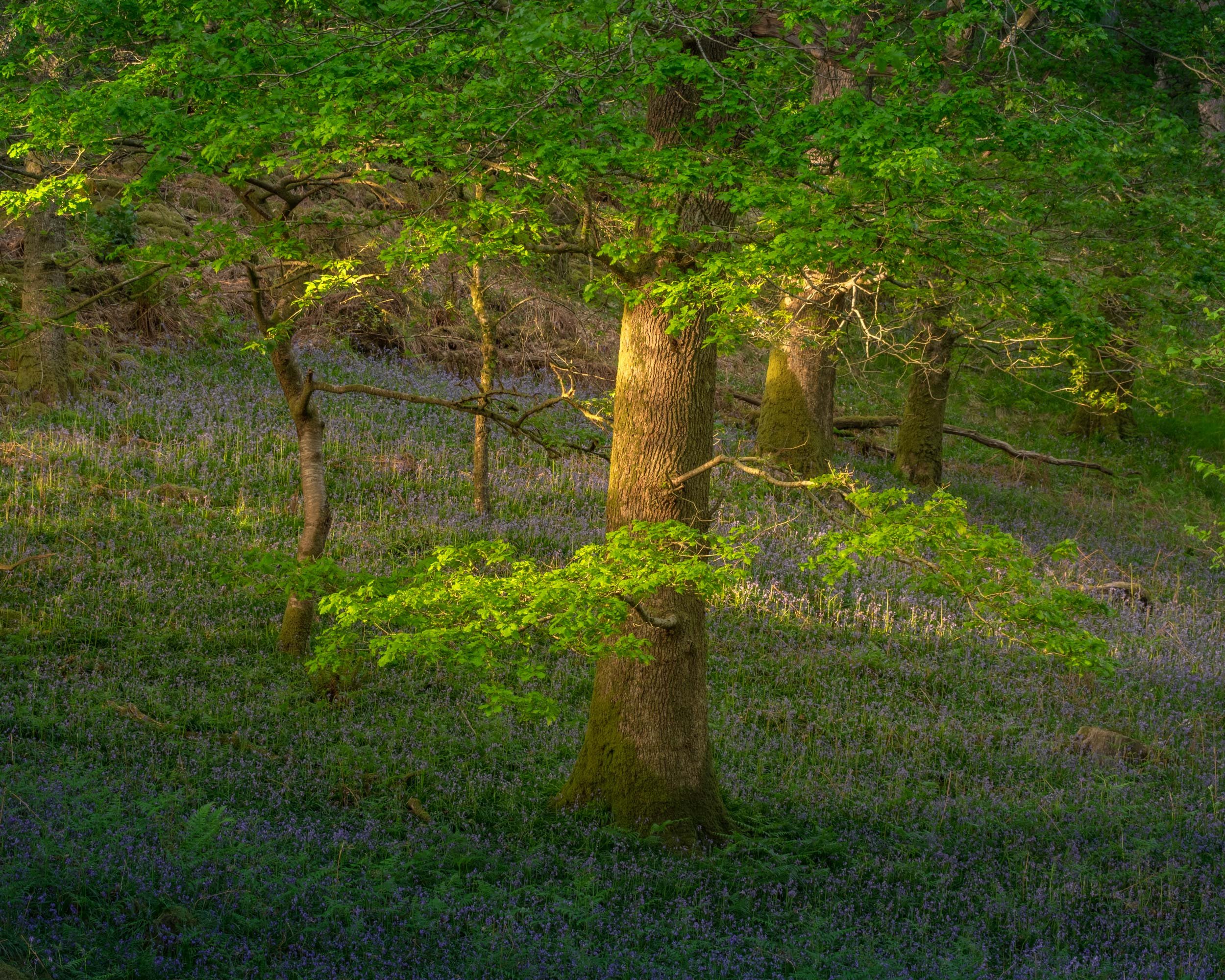 DSCF5767-Edit.jpg