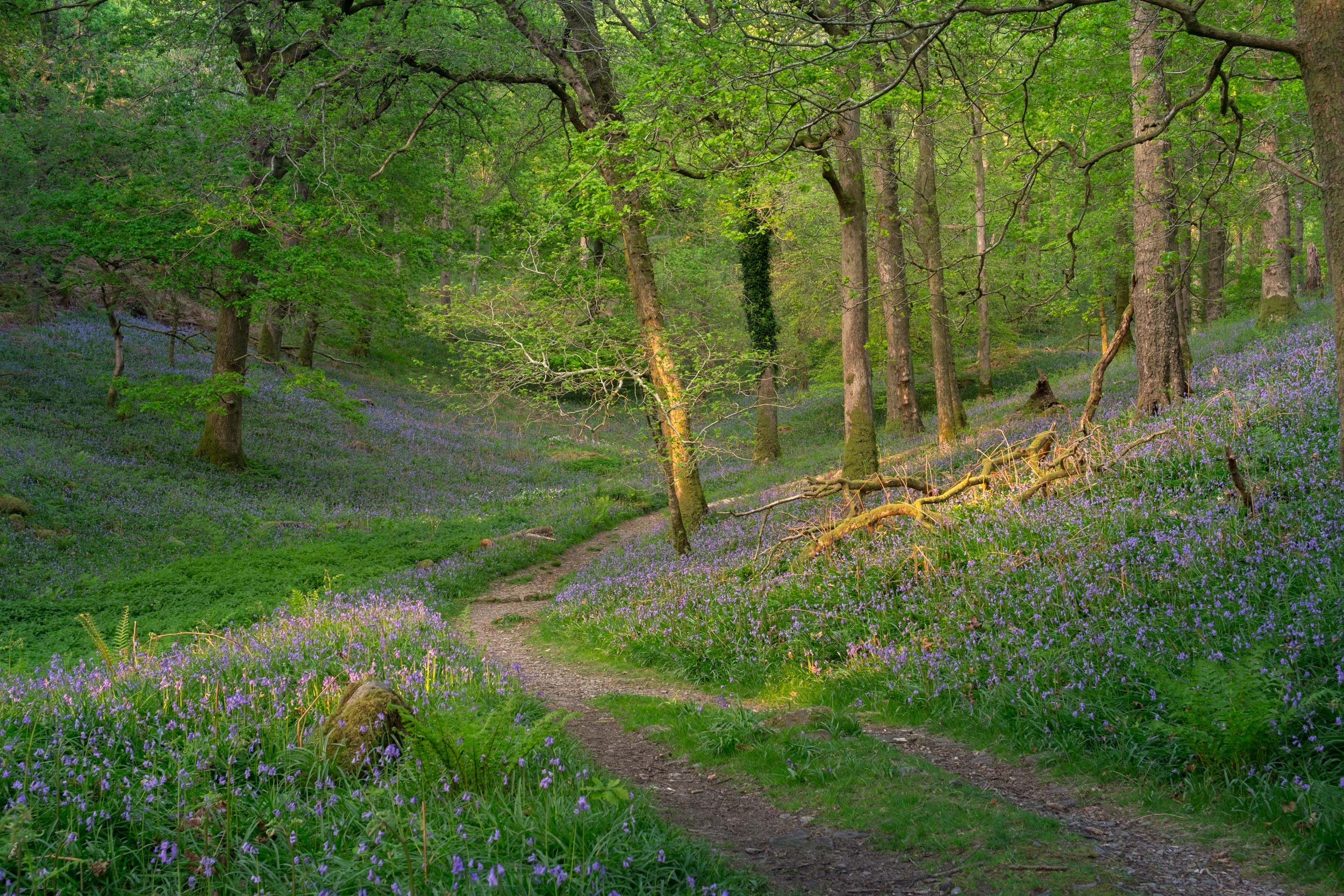 DSCF5809-Edit.jpg
