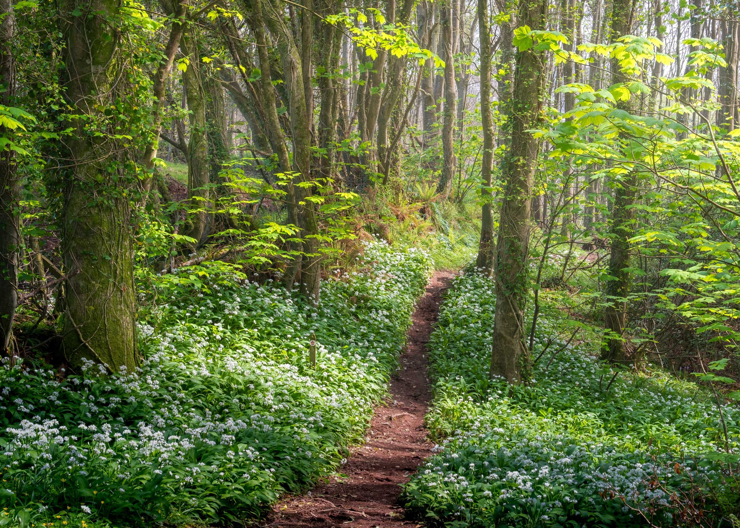 stackpole1.jpg