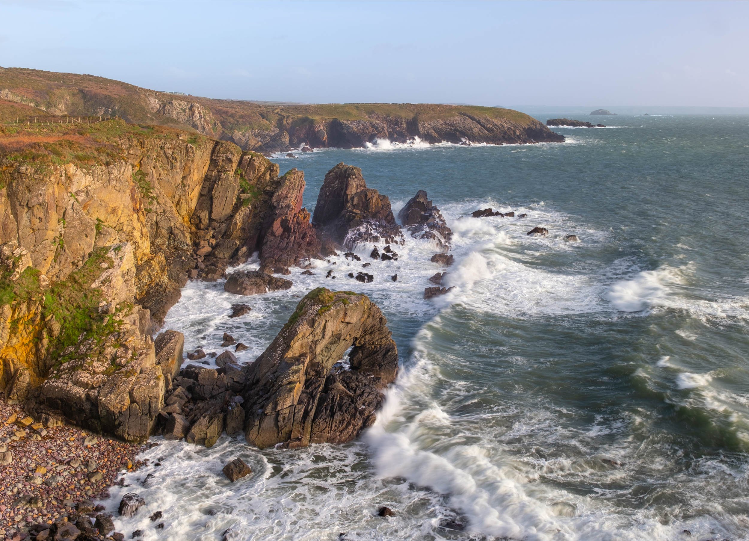 feb gallery-1113.jpg