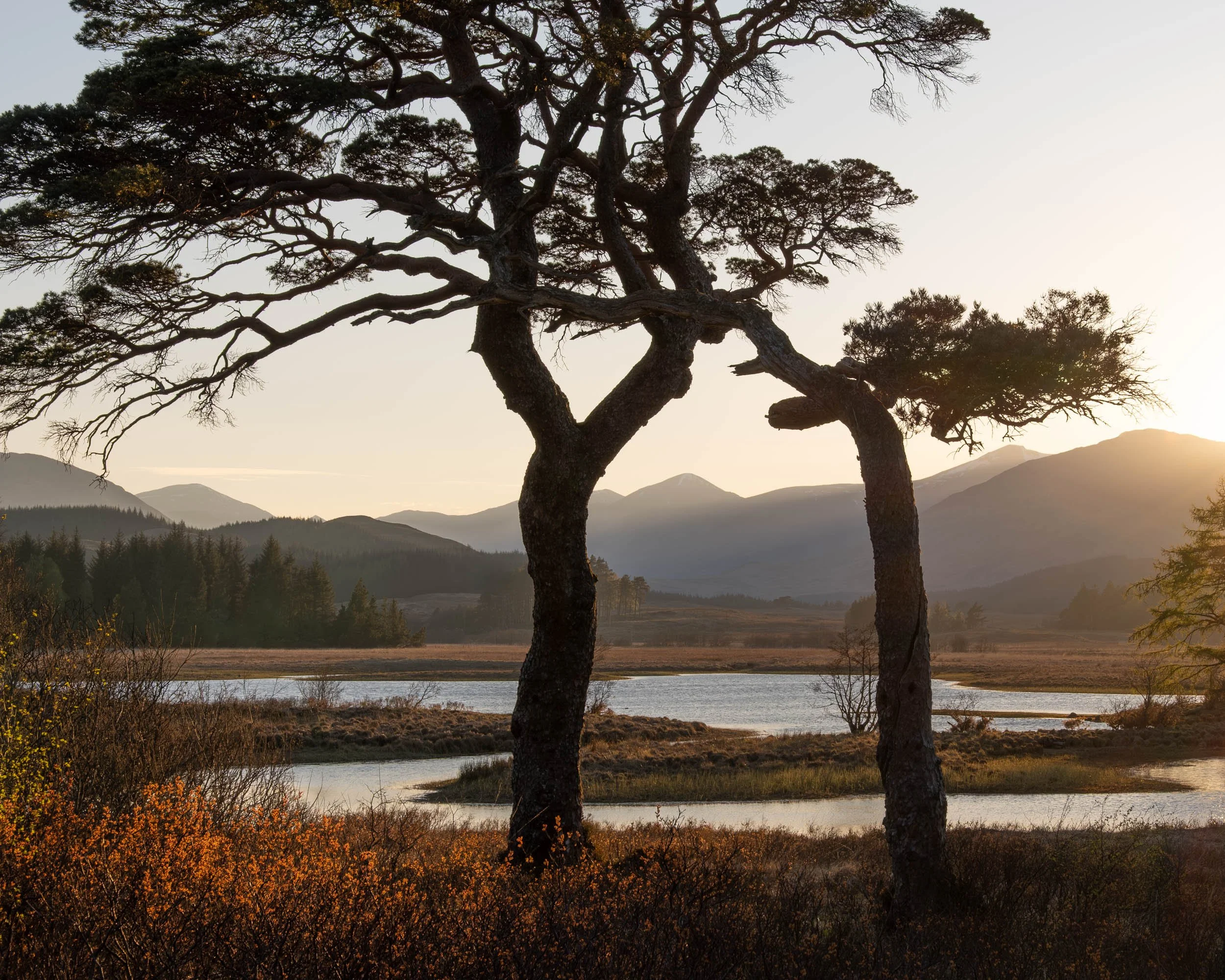 ian worth highlands-1.jpg