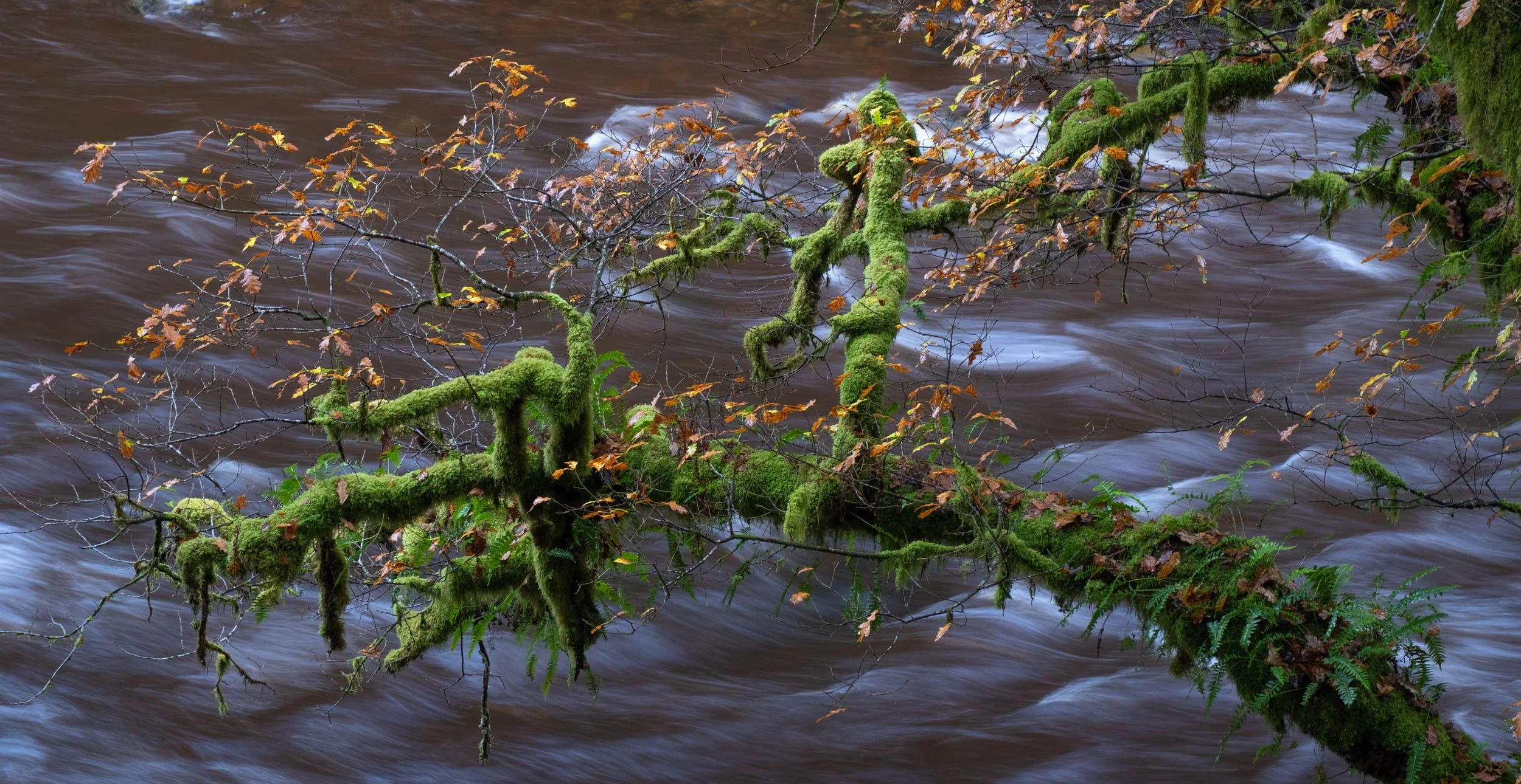 snowdonia-12.jpg